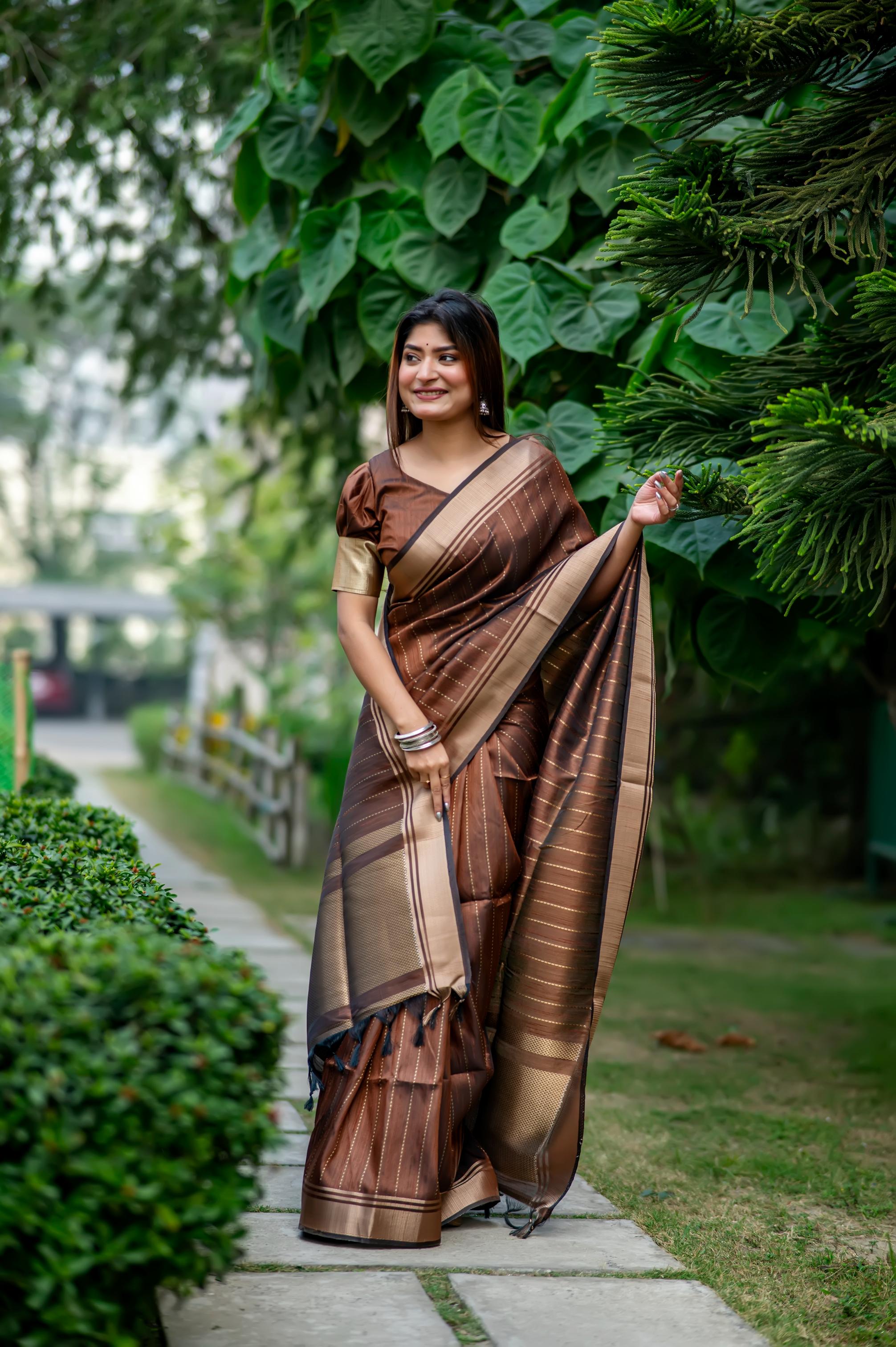 Shikha -Luxurious Silk saree Stripe Saree